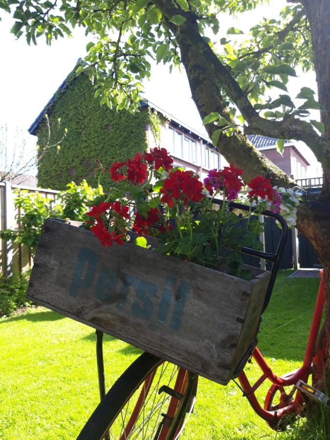 D' Ald Skoalle - Sfeervol Appartement In Oude School. Wijtgaard Eksteriør bilde