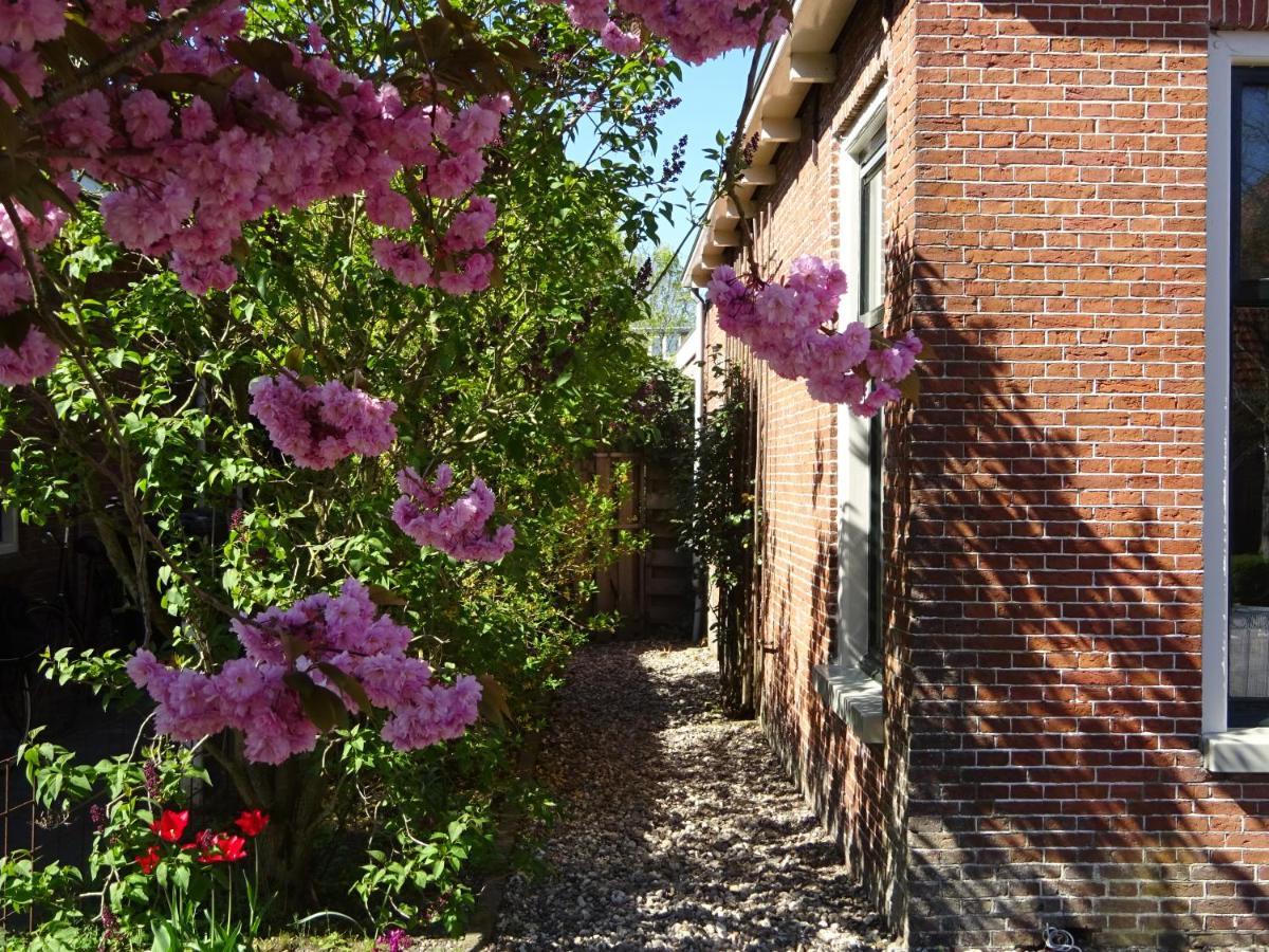 D' Ald Skoalle - Sfeervol Appartement In Oude School. Wijtgaard Eksteriør bilde